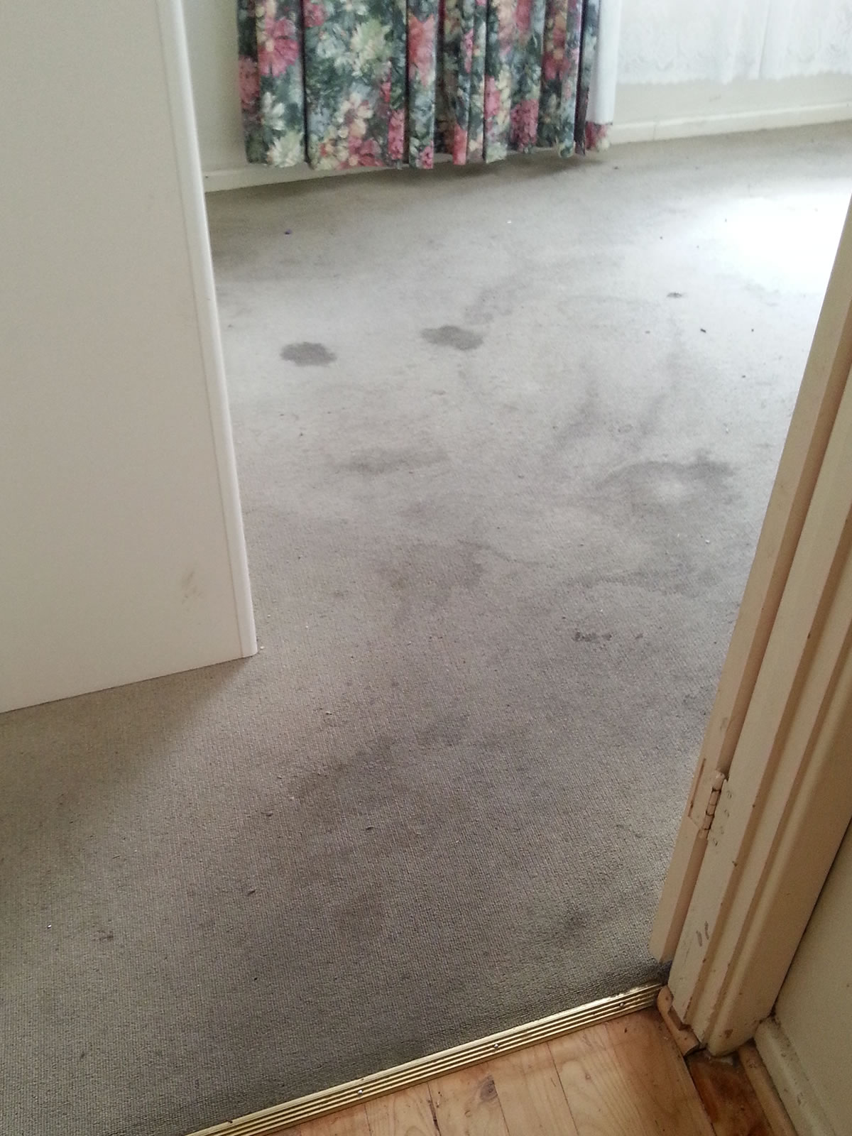 Before Photo