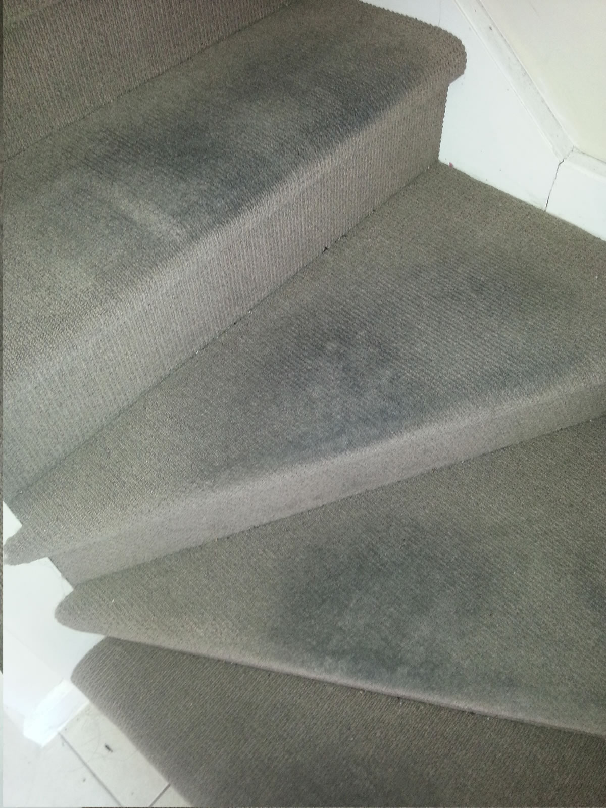 Before Photo