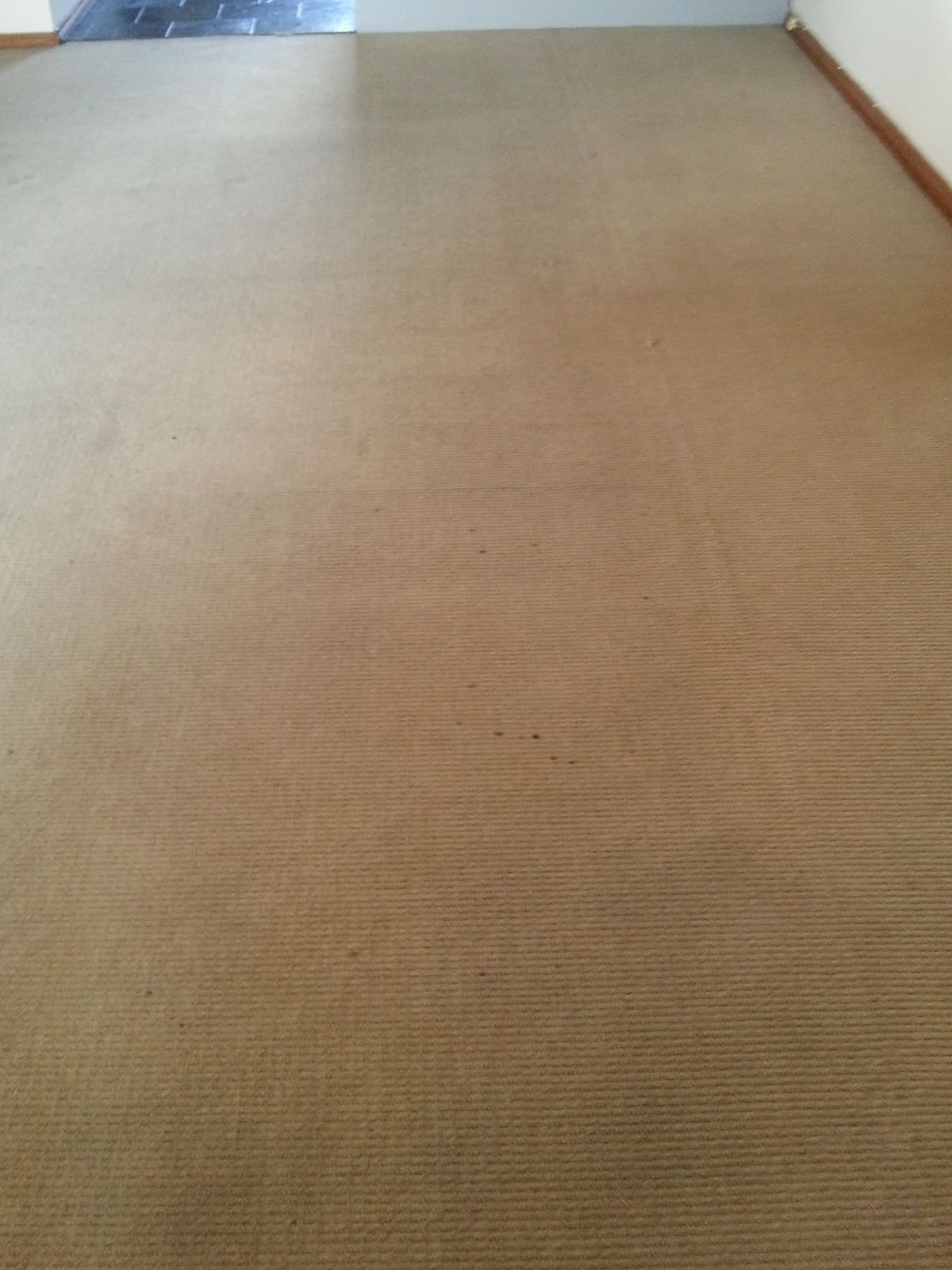 After Photo