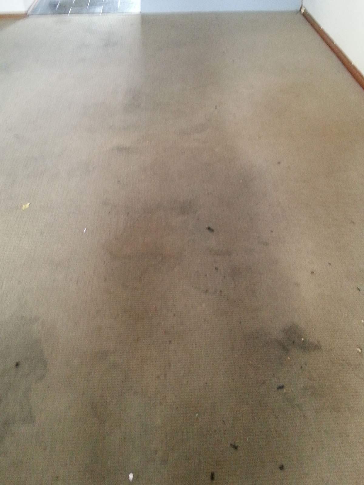 Before Photo