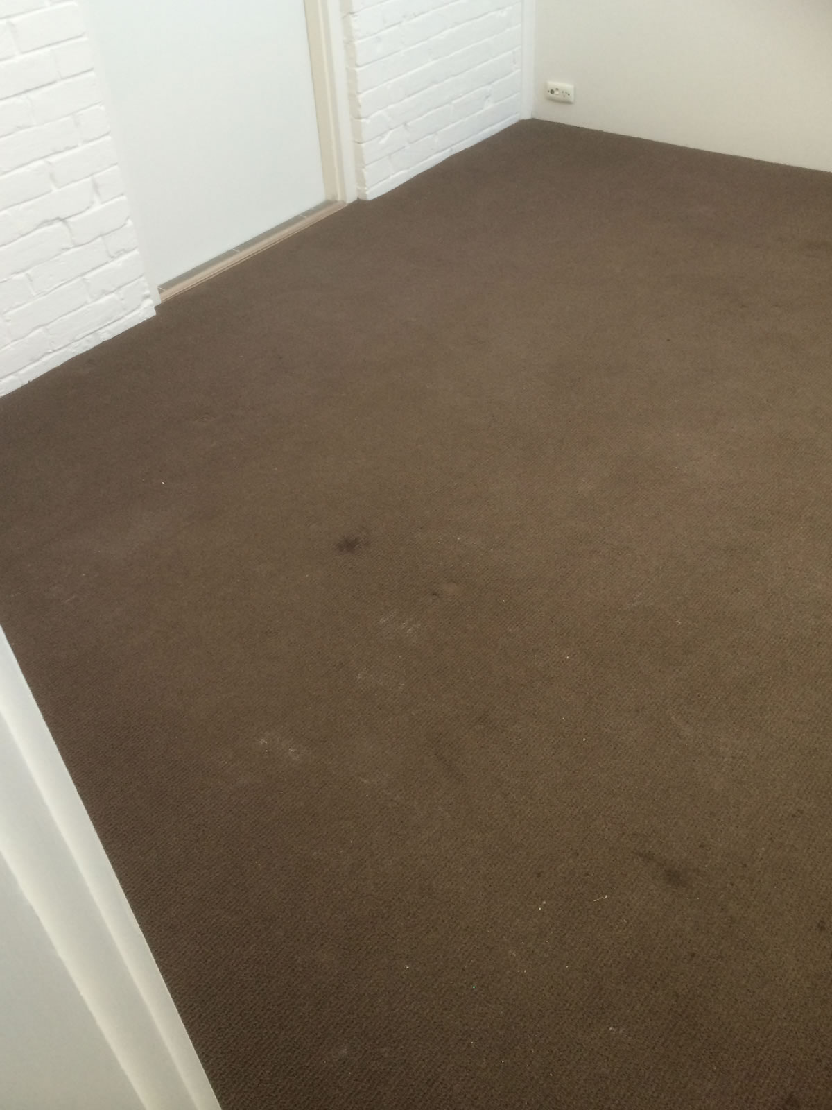 Before Photo